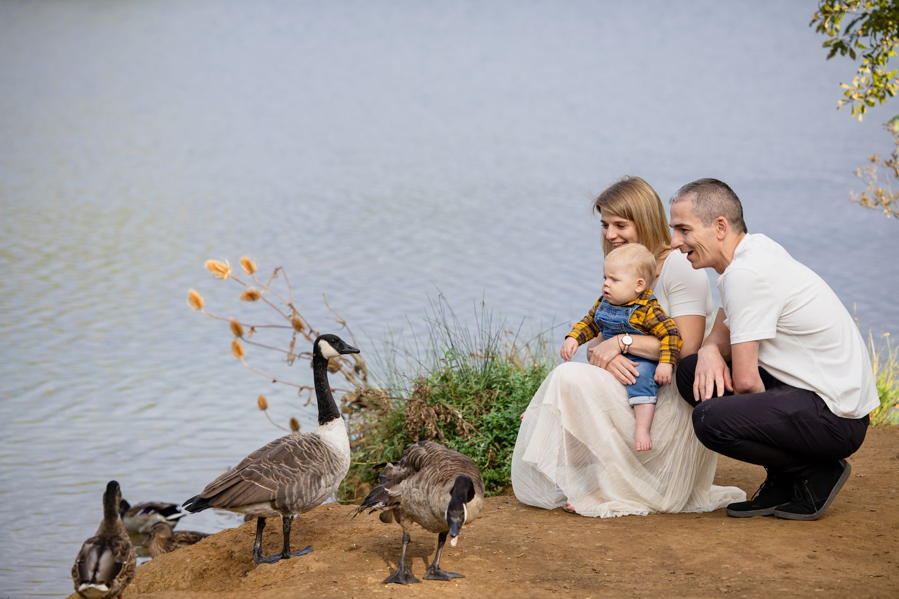 Parents and baby by the lake, watching the geese